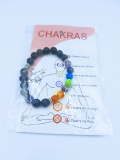 Plchakras1