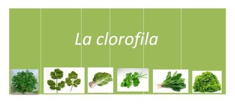 Clorofila, 1000 Ml, Desintoxica Tu Cuerpo, Envió Gratis - Daferty