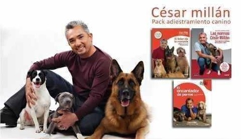 Colección Cesar Millán, El Encantador De Perros, Libros, Pdf en internet