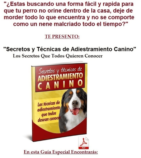 Imagen de Adiestramiento Canino, Tener El Control Total Del Perro+bono