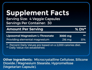 Magnesium L Threonate 3000mg x 120 caps - Wellness Labs RX - comprar online