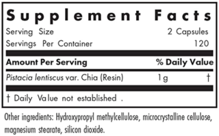 Mastic Gum (240 capsulas) - Nutricology - comprar online