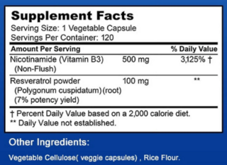 Nicotinamide 500mg x 120caps - Balincer - comprar online