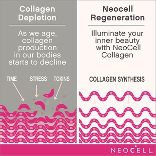 Super Collagen Powder Collagen type 1 & 3 (40 serv / 400g) - Neo Cell - MMSuplementos