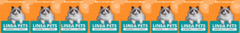 Banner de la categoría Linea Pets