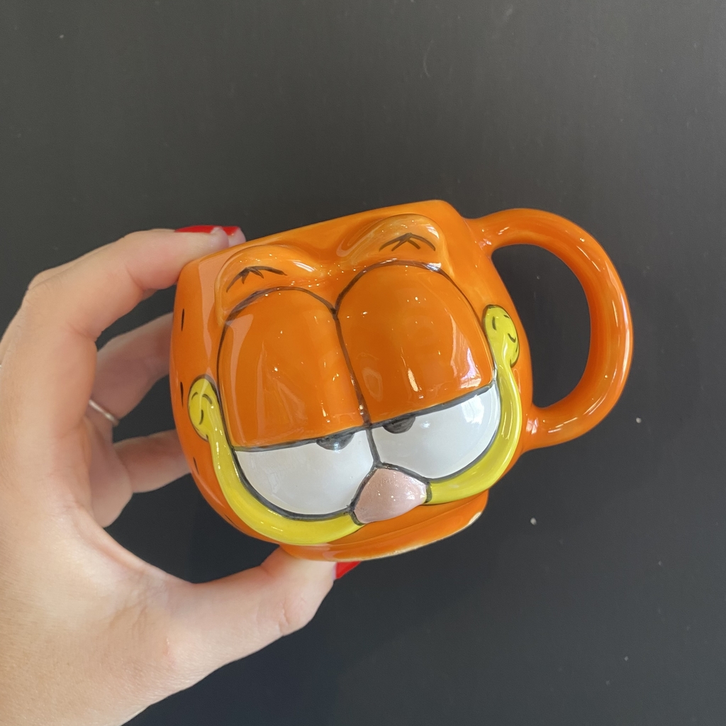 cara de garfield