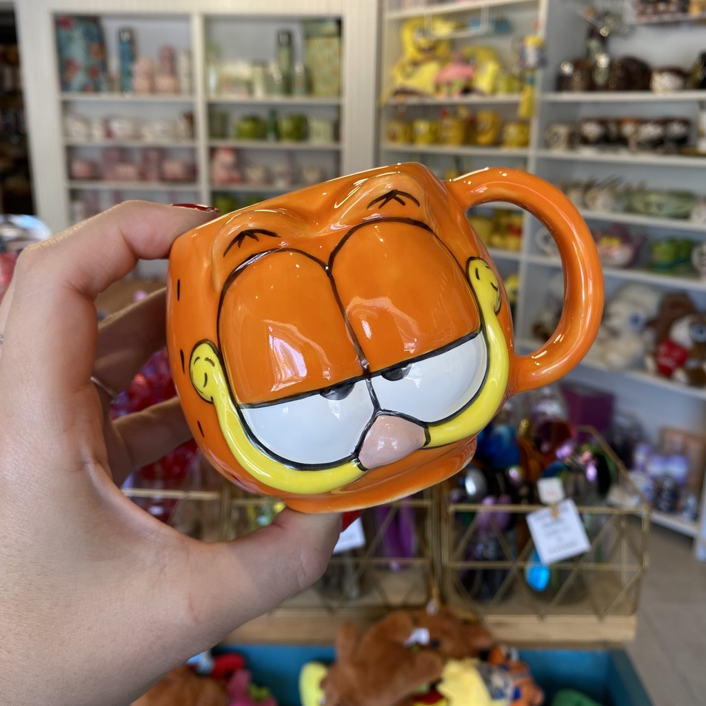 cara de garfield