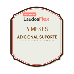 Adicional 6 Meses de Suporte para Medware Laudos Flex