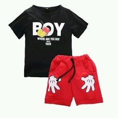 Conjunto Mickey Menino