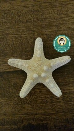 presilha-estrela-do-mar