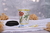 SET COFFEE - Vaso termico + Plato - DISEÑO FLORES - comprar online