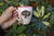 Taza Bombe - RETRATOS MASCOTAS - FLOR - tienda online