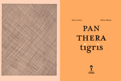 PANTHERA tigris - comprar online