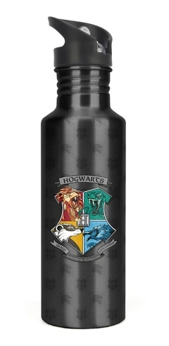 Garrafa Alumínio Com Canudo 750ml Harry Potter - Luxcel