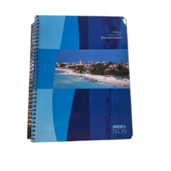 Cuaderno TRIUNFANTE cuadriculado x 80 hojas con espiral