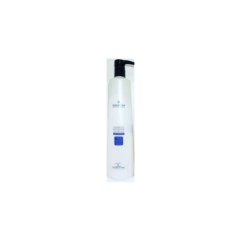 Minas Flor Repositor de Massa Shampoo 1L