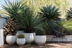 "Diseño de jardines – Ideas inspiradoras para disfrutar de éste verano" Redacción CH 12-17