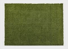 Green Rugs (120 x 180 cm) na internet