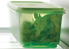 FRESQUITA 4.5LT TUPPERWARE - comprar online