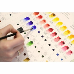 Acuarela Profesional Winsor & Newton x 5ml en internet