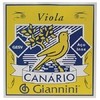 ENCORDOAMENTO PARA VIOLA AÇO GESV - SÉRIE CANÁRIO - TENSÃO MÉDIA - GIANNINI