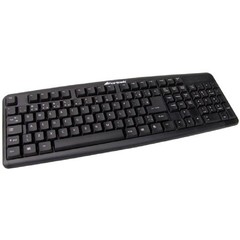 Teclado Standard PS2 ABNT2 SK-101BK Preto FORTREK na internet