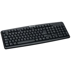 Imagem do Teclado Standard PS2 ABNT2 SK-101BK Preto FORTREK