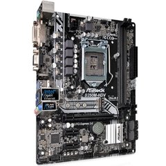 PLACA MAE ASROCK 1151 B250M-HDV - comprar online