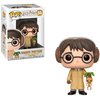 BONECO FUNKO POP HARRY POTTER - HARRY POTTER 55