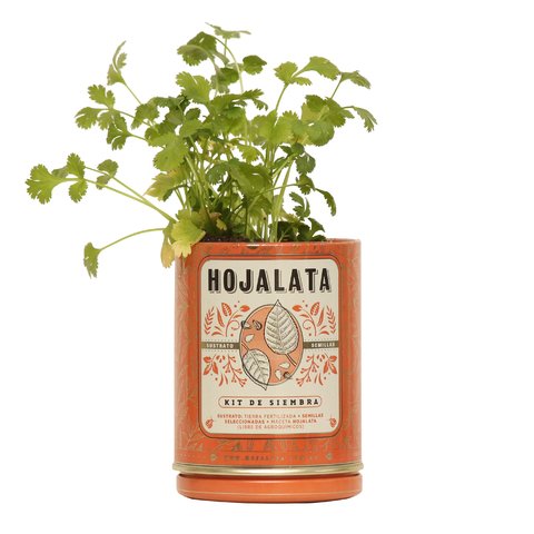 Kit de Siembra Cilantro - comprar online