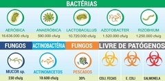 FERTILIZANTE ORGÂNICO CLASSE A (VIA FOLIAR) 1 LITRO FERTI-PEIXE