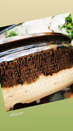 Vaso de bonsai de alta temperatura esmaltado FujiPot A9x30cm na internet