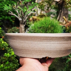 Vaso em cerâmica sem esmalte FujiPot exclusivo A6x22cm - comprar online