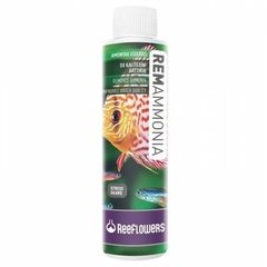 RemAmmonia 250ml ReeFlowers