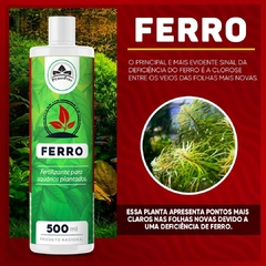 Fertilizante Liquido para Plantas Ferro Powerfert