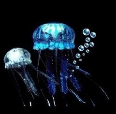 Enfeite de Silicone Jellyfish Combo Azul/Branca