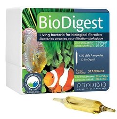 Biodigest Ampola Prodibio (Unidade)