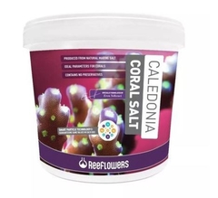 Caledonia Coral Salt 6,5kg (balde) Reeflowers