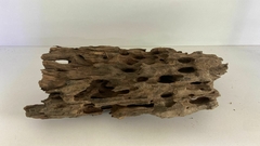 TRONCO WOOD 04