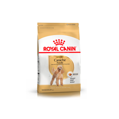 Royal Canin Caniche Adulto x 3 kg