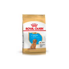 Royal Canin Caniche Junior x 1 kg