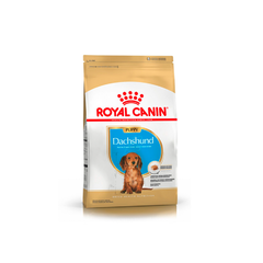 Royal Canin DACHSHUND PUPPY x 3 kg