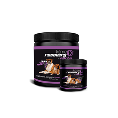 Kume Recovery Forte Perros Y Gatos 250 Gr en internet