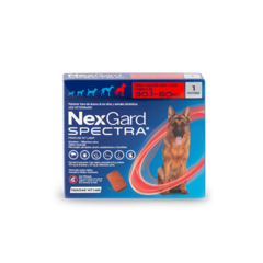 Nexgard Spectra 30 a 60 kg