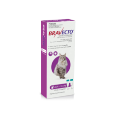 Bravecto Gato + 6.5 Kg