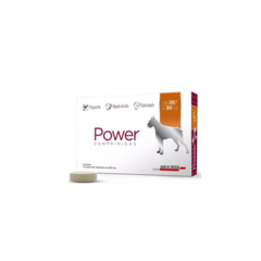 Power Comprimido Perro 20.1 a 40 kg