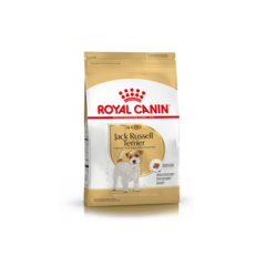 Royal Canin JACK RUSSELL ADULTO x 3 kg