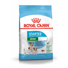 554Royal Canin Starter Mini X 3 Kg