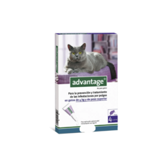 ADVANTAGE GATO 4 A 8 KG