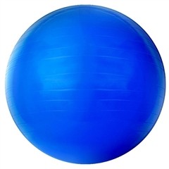 Bola Pilates Gym Ball com Bomba Acte - 65CM